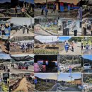 초롱마을 이미지