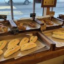 오베르망 이미지