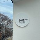 올리비아스테이 이미지