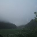 호성농장 이미지