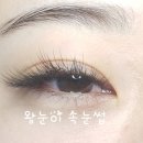 왕눈이속눈썹