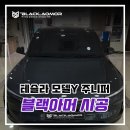 블랙썬팅 | 김해 썬팅 추천! 테슬라 신차검수 및 썬팅 시공 후기 [블랙아머 김해점]