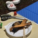 솔밭야영장 이미지