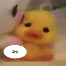 원도안로-10 이미지