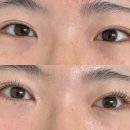 금정온누리약국 | 산본 속눈썹펌 더뷰티(+가격 할인 정보)