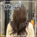 (주)한국파마 | 울산 울주군 덕하 위엘르헤어 복구펌｜극손상모 파마 후기