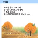 루시아의원 | [매묵]2024년 8월 26일 월요일[(녹) 연중 제21주간 월요일]/신부님 강론 4개