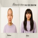 남산정 지하철역 | 부산 항암가발 처음이면 방문전에 이것부터 준비하세요