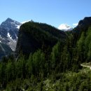 할리우드 이미지