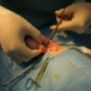 킴리동물병원 이미지