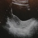 경향한의원 이미지