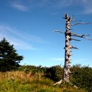 자연과 사람들 이미지