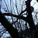 대월농장 이미지