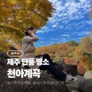 대정농장 | 제주 천아계곡 천아숲길 주차 정보 제주도 단풍 명소 실시간