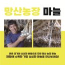 방식농장 이미지