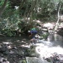 서귀포자연휴양림1 이미지