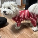 수원-0471 이미지