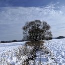 겨울나그네 이미지