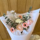 플레르퍼피 이미지