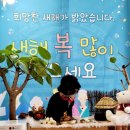 개좋은날 이미지