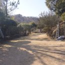 난대경로당 이미지