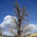 보성강2 이미지