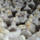 (주)제이디팜 이미지