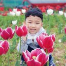 삼학도 중앙공원 이미지