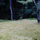 파인민박 이미지