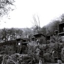 포레스트리솜 이미지