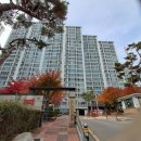 벽산블루밍부동산공인중개사사무소 | 수원 율전동 성균관대역 벽산블루밍아파트