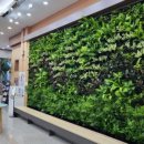 횡성군청 민원실 이미지