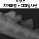 동탄원더스동물의료센터 이미지