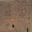 꽃들의이야기 이미지