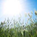 고추잠자리모텔 이미지