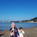 대보통상