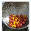 유기농 토마토 쥬스 해먹기 이미지