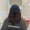 허니파마