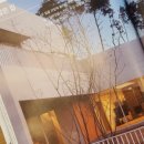 건축사사무소 마당 이미지