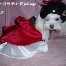 황진이한복