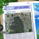 남천둑길 Daum카페