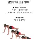 마운틴 클라이밍 자세 .gif 이미지