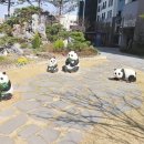 초이스 공인중개사 사무소 이미지