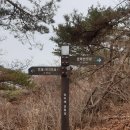 사리밤티재 이미지