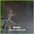 단디클린 네이버블로그