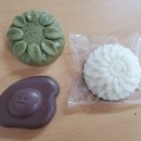 한국교통장애인협회 군산시지회 이미지