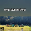 운주산승마자연휴양림 이미지