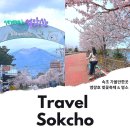 (주)중앙고속 | 속초 가볼만한곳 속초 여행 코스 영량호 벚꽃축제 동명항 중앙시장
