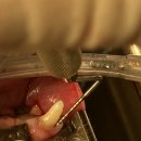 잠실베스트동물메디컬센터 이미지