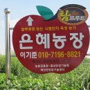 은혜농원 이미지
